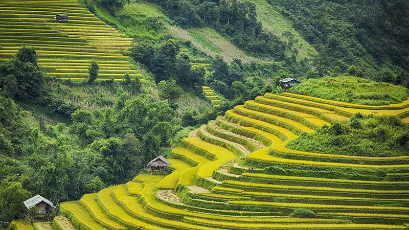 ruộng bậc thang