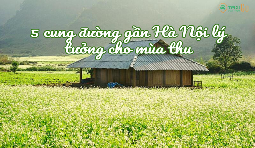 Top 5 cung đường du lịch gần Hà Nội lý tưởng cho mùa thu 2025