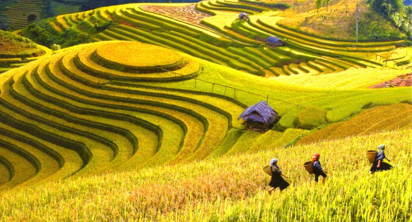 Du Lịch Mai Châu Cần Đi Mấy Ngày? Gợi Ý Lịch Trình Chi Tiết Từ A-Z