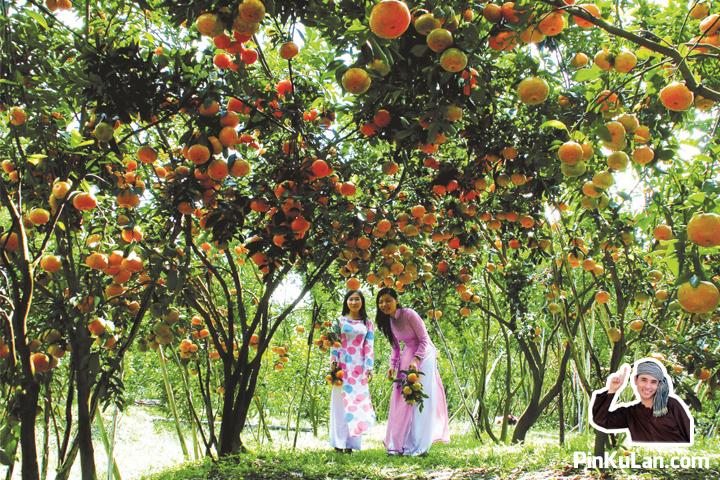 Vườn cây trái Vĩnh Kim - Địa điểm du lịch miệt vườn Tiền Giang