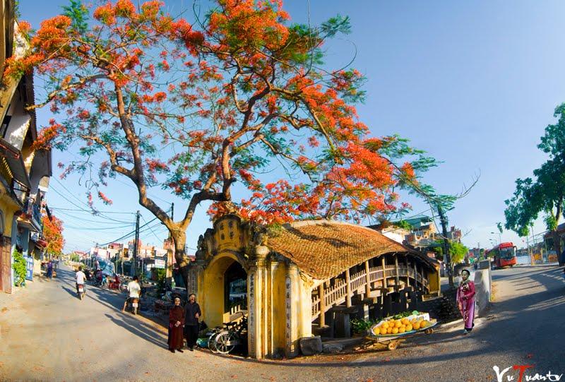 Cầu Ngói chợ Lương, tọa lạc tại xã Hải Anh, huyện Hải Hậu, tỉnh Nam Định