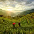 Mù Cang Chải Mùa Nào Đẹp Nhất? Kinh Nghiệm Du Lịch Theo Từng Mùa
